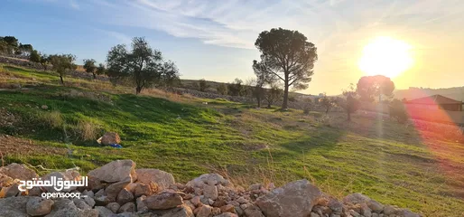  2 قطعه ارض مميزه جدا داخل كمبواند قطع بسعر مميز ومكان مميز ذات اطلاله جميله في جرش جبا