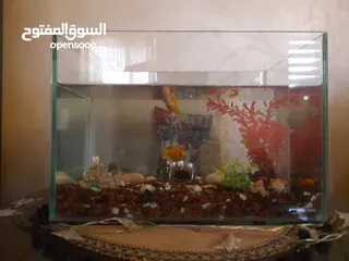  2 حوض سمك بسعر حرق اقرأ الوصف+عرض لفترة محدودة  بسعر حرق منافس للأخرين اقرأ الوصف