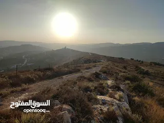  4 للبيع قطعة ارض من اراضي اجنسنيا مساحتها 5 دونم و 954 متر كوشان طابو مستقل