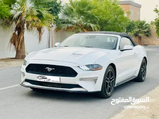  1 FORD MUSTANG  2023 TURBO ECOBOOST
