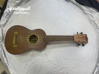  1 جيتار من شركه كالا مني