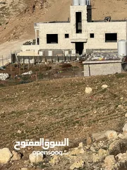  3 ارض مميزه بسعر مغري بجانب الجبيهه مباشرهضمن اراضي صافوط حوض ام مرهف الجنوبي وبسعر مغري جددا