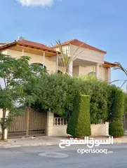  2 فيلا للبيع عمان الاردن طبربور من المالك مباشره قابله للتقسيط