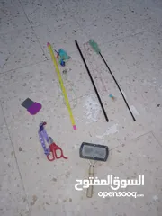  8 قطتين أنثى و ذكر
