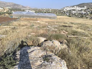  2 بيع قطعة الأرض في طوباس