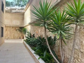  3 شقه للبيع  في المصيون مع حديقه قرب سبجافريدو