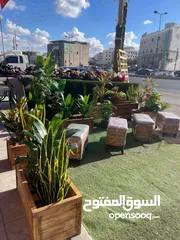  19 كل ما يلزم الحديقه عشب صناعي جميع انواع خشب سويد تفصيل شجر صناعي جلسات خشب سويدي اشجار تحاكي الطبيعة