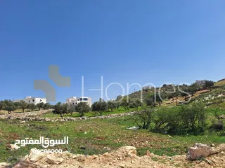  2 ارض للبيع في منطقة الفحيص بمساحة ارض 690م