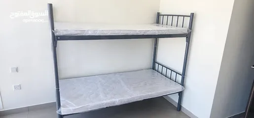  3 Bed Space Available In Sport City