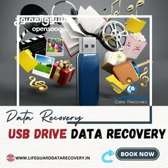  11 Lifeguard Data Recovery Services