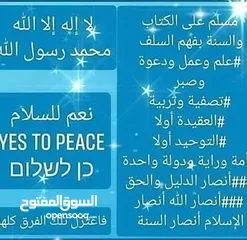  10 معلم دروس خصوصية ودورات في الحقيبة التعليمية والرياضيات لكل المراحل الدراسية الأساسية والثانوية.