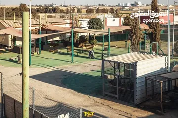  8 فندق ومركز تدريب للكلاب