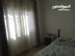  14 شقه مفروشه تؤجر شهرياً