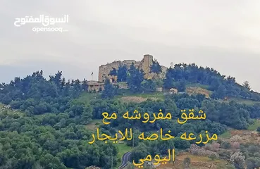  25 شقق مفروشه للايجار اليومي ومزارع واكواخ  ومسابح مع اجمل الاطلالات خصوصيه كامله