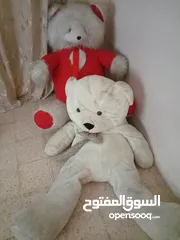  2 دبب احمر وابيض