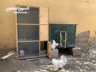  5 حمام للبيع