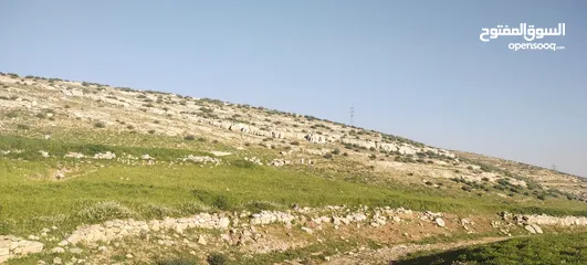  1 زينات الربوع قرب الترخيص
