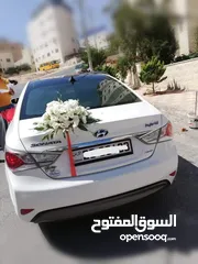  16 فورد موستينج كشف للأعراس والمناسبات والايام