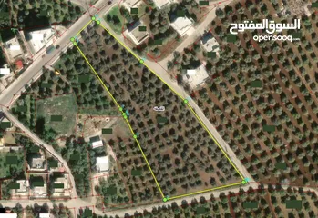  1 تملك ارض زراعية في القصفة على 3 شوارع - مزروعة زيتون - مقابل مسجد القصفة