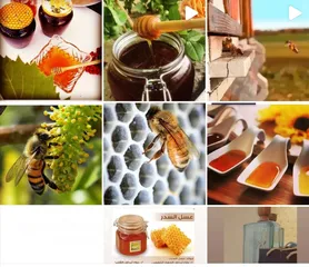  3 وصول اجود انواع العسل