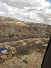  1 دورا جبل ابو عشرة