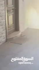  3 شقة عظم اول المعاجين