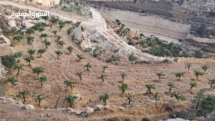  9 أرض في بيت كاحل مطلة على شارع واد القف