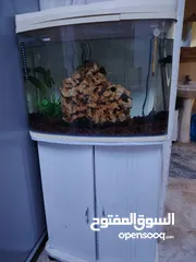  3 حوض سمك اجنبي قياس 50ب 30 للبيع ب 20 دينار