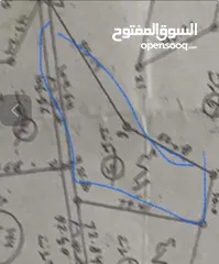  1 أرض زراعية للبيع  مادبا الفيحاء  من المالك