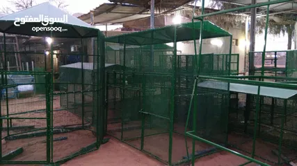  17 bird cage for garden