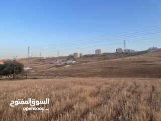  3 ارض للبيع في طبربور مستوية  بقوشان مستقل