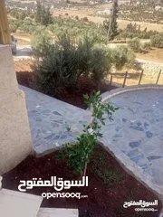  12 لقطه مزرعه مع بيت ريفي 48 الف قابل للتفاوض منطقه ريف جرش