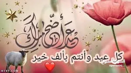  8 ارانب الماني للبيع موجودات بعمان