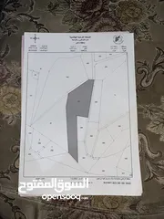  1 ارض للبيع.
