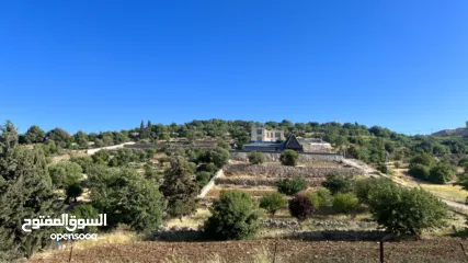  5 ارض للبيع في الأردن - عجلون