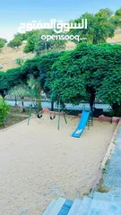  3 مزرعه happy farm للايجار منطقه بيرين بالقرب من شفّا بدران