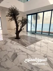  8 فيلا للبيع في دابوق  ( Property ID : 31408 )