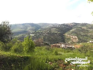  9 ارض مميزة مطلة ابو السوس غرب عمان عدة قطع في المنطقة.