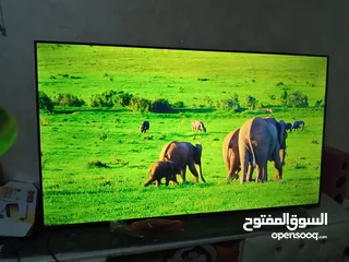  1 شاشه جنرال