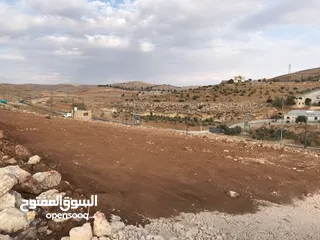  7 مشروع العين والمعمرية