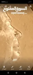  4 عمله بريطانية الملكه اليزابيث