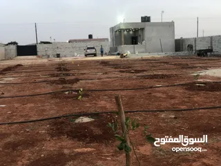  1 مزرعه في سيدي خليفة طريق 17 مشروع ر 1