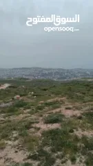  11 قطعة ارض مربعة الشكل في زواتا