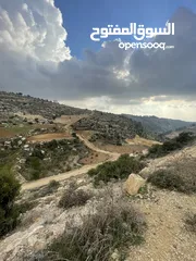 2 ارض في العابد