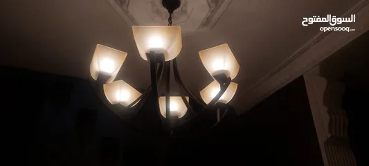  5 ثريات عظم فخمات