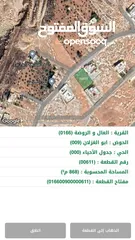  1 ارض للبيع تصلح للبناء و الاستثمار في حوض ابو الغزلان ناعور