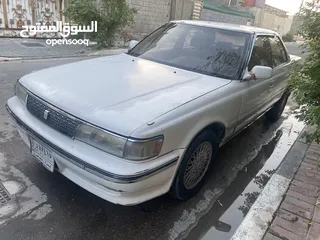  1 شيزر كصيف سعر 29