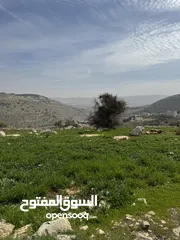 4 ارض 6 دنمات شمال عمان لواء عين الباشا قرية ام انجاصه قطعه مرتفعه ومطله وقريبه من جميع الخدمات