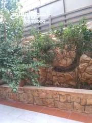  6 شبك حديقه منزليه