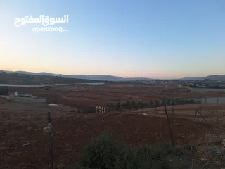  4 اراضي استثمارية محيط مدينة نابلس